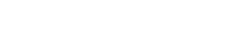 Hot Nuts logo